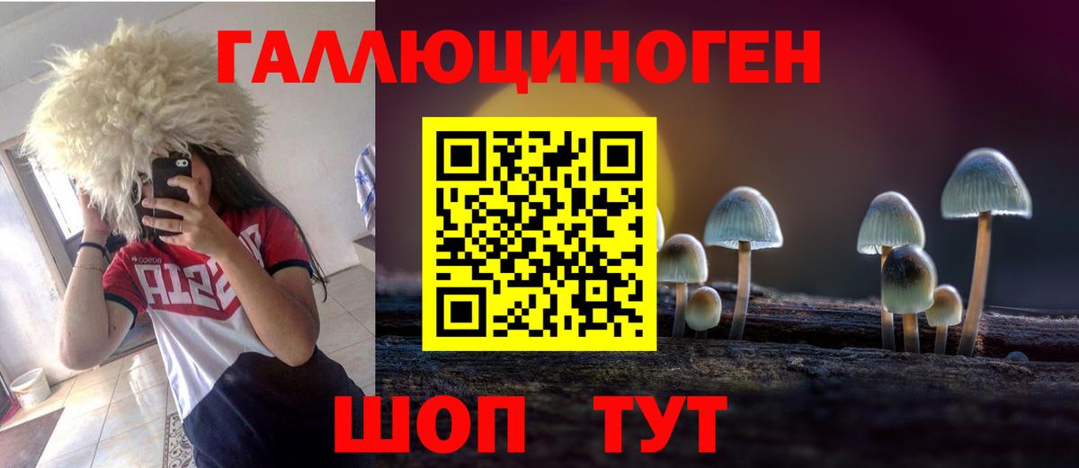 Галлюциногенные грибы мицелий  что такое   Осинники  Псилоцибиновые грибы прущие грибы  Вход с VPN 