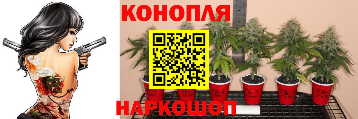 Каннабис ГИДРОПОН Осинники